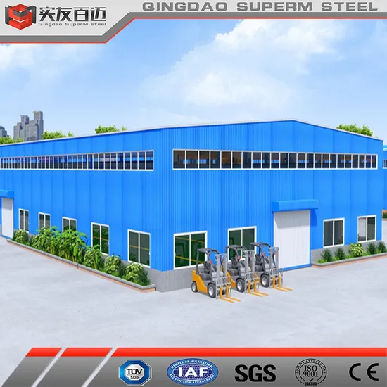 Warehouse Steel Structures Storage Buildings Workshop Garage Material Prefabricated House